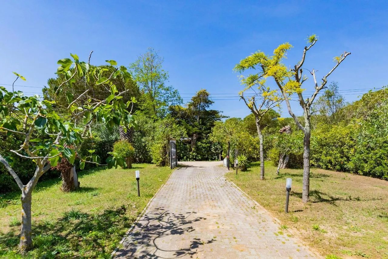 Helloelba Villino Michela Villa Lacona Holiday home